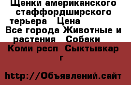 Щенки американского стаффордширского терьера › Цена ­ 20 000 - Все города Животные и растения » Собаки   . Коми респ.,Сыктывкар г.